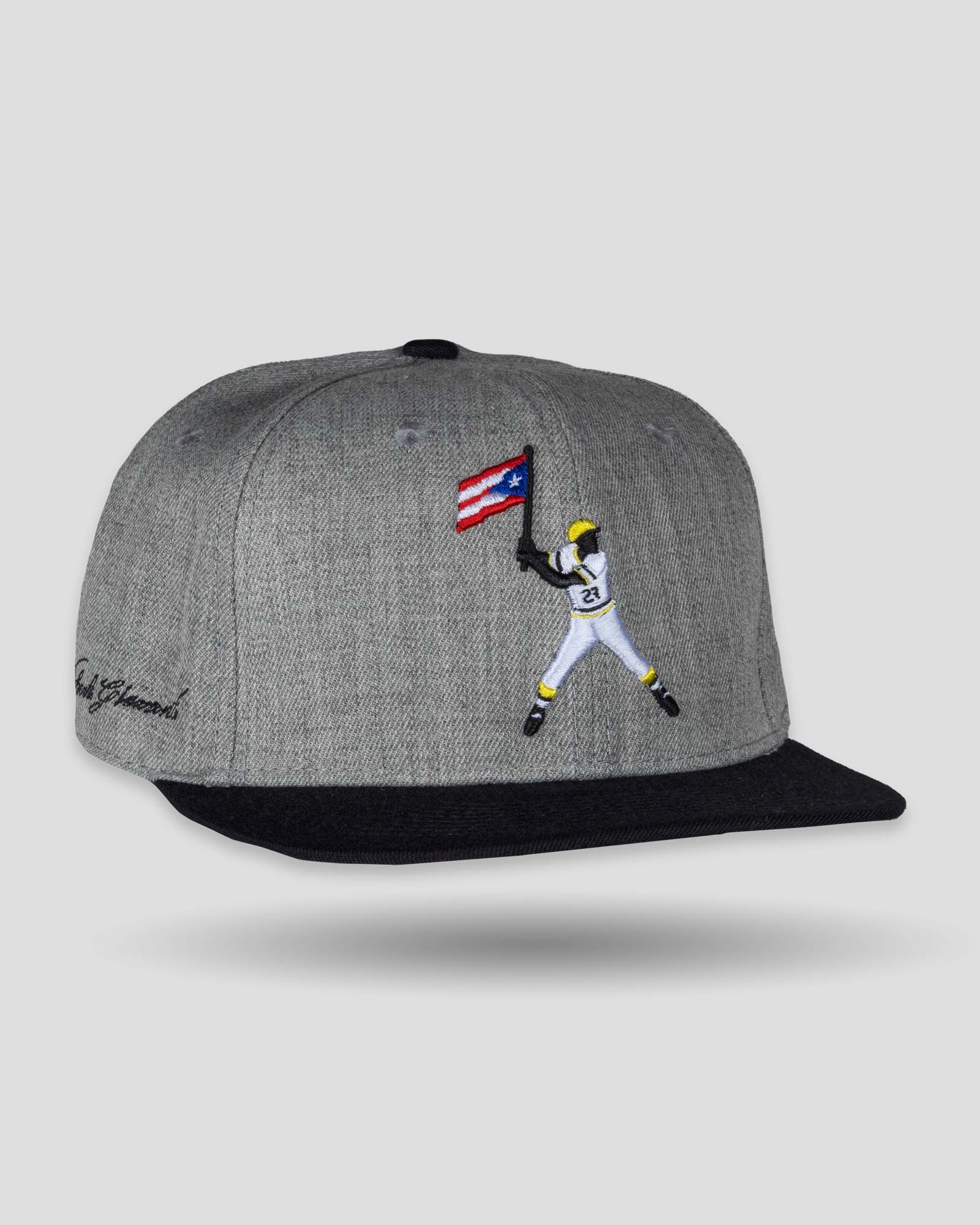 Clemente Swinging Flag Cap